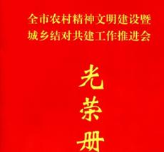 集團(tuán)獲南京市文明委表彰