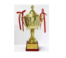 榮獲南京市政基礎(chǔ)設(shè)施工程“金陵杯”優(yōu)質(zhì)工程獎(jiǎng)